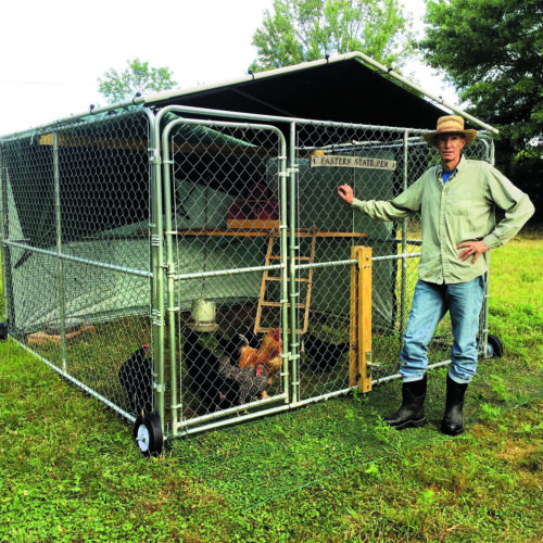 Dog Kennel Chicken Tractor